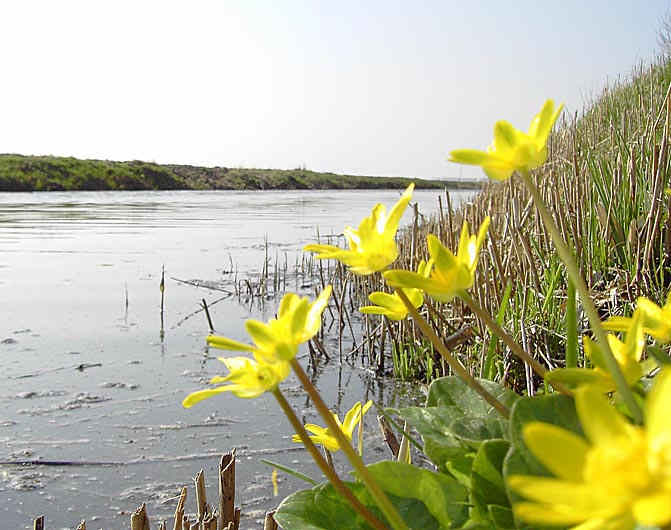 n_polder 0759.jpg